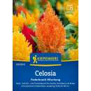 Federbusch, Mischung - Celosia argentea var. plumosa - Samen