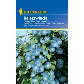 Winde, Kaiserwinde Himmelblau - Ipomoea tricolor - Samen