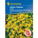 Lakritz-Tagetes Anisata - Tagetes lucida - Samen