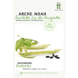 Buschbohne Etsdorfer - Phaseolus vulgaris var. nanus -...