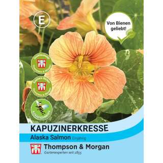 Kapuzinerkresse Alaska Salmon - Tropaeolum majus - Samen