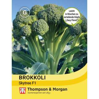 Broccoli Skytree F1 - Brassica oleracea var. italica - Samen