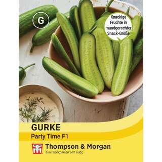 Gurke Party Time - Cucumis sativus - Samen