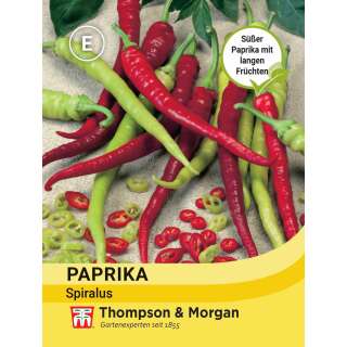 Paprika Spiralus - Capsicum annuum - Samen