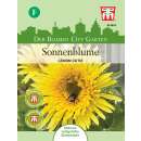 Sonnenblume Lemon Cutie F1 - Helianthus annuus - Samen