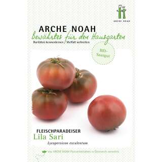Tomate, Fleischparadeiser Lila Sari - Solanum...