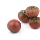 Tomate, Fleischparadeiser Lila Sari - Solanum...