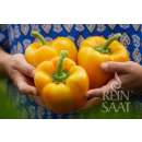 Paprika Cubo Yellow - Capsicum annuum - Demeter...