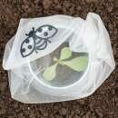 Gemüse-Schutztasche gegen Insekten - 6 Stück