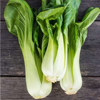 Pak Choi Taï Saï -  Brassica rapa ssp. chinensis var. communis - BIOSAMEN