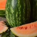 Wassermelone Orangelo - Citrullus lanatus - BIOSAMEN