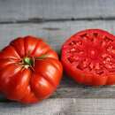Tomate Couilles de Taureau - Solanum lycopersicum - BIOSAMEN