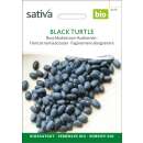 Buschbohne Black Turtle - Phaseolus vulgaris - BIOSAMEN