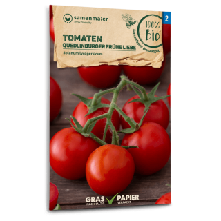 Tomate Quedlinburger Frühe Liebe - Solanum Lycopersicum - BIOSAMEN