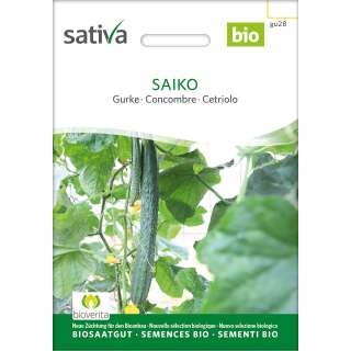 Gurke Saiko - Cucumis sativus  - BIOSAMEN