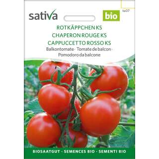 Tomate, Balkontomate Rotkäppchen KS - Lycopersicon lycopersicum - BIOSAMEN