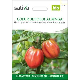 Tomate, Fleischtomate Coeur de Boeuf Albenga - Lycopersicon esculentum  - BIOSAMEN
