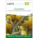 Tomate, Cherrytomate Snowberry - Solanum lycopersicum -...