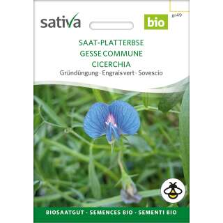 Gründüngung Saat-Platterbse - Lathyrus sativus - BIOSAMEN