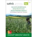 Gründüngung Waldstaudenroggen - Secale cereale - BIOSAMEN