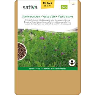 Gründüngung XL-Pack Sommerwicken - Vicia Sativa - BIOSAMEN