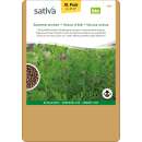 Gründüngung XL-Pack Sommerwicken - Vicia Sativa...