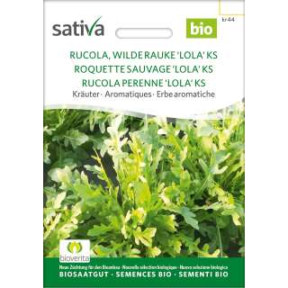 Rucola, Wilde Rauke Lola - Diplotaxis tenuifolia  - BIOSAMEN