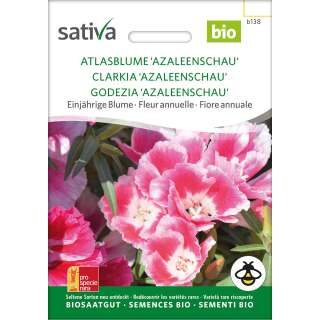 Atlasblume Azaleenschau - Clarkia amoena - Biosamen