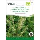 Salbei-Gamander - Teucrium scorodonia - BIOSAMEN