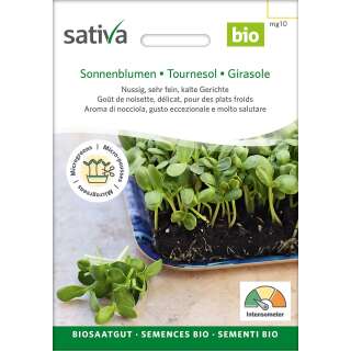 Bio Microgreens Sonnenblumen - Helianthus annuus - BIOSAMEN