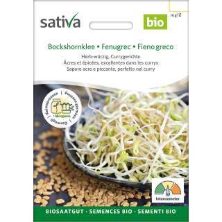 Bio Keimsprossen Bockshornklee - Trigonella foenum graecum - BIOSAMEN