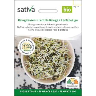 Bio Keimsprossen Belugalinsen - Lens culinaris - BIOSAMEN