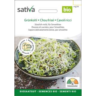 Sprossensamen Grühnkohl - Brassica oleracea var....