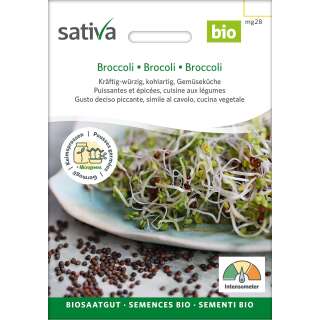 Bio Keimsprossen Broccoli - Brassica oleracea silvestris...