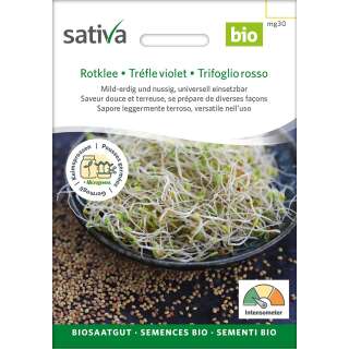 Bio Keimsprossen Rotklee - Raphanus sativus var. sativus - BIOSAMEN