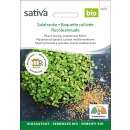Bio Microgreens Salatrauke - Eruca sativa - BIOSAMEN