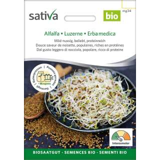 Bio Keimsprossen Alfalfa/Luzerne - Medicago sativa - BIOSAMEN