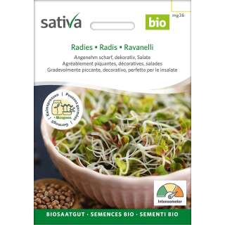 Bio Keimsprossen Radies - Raphanus sativus - BIOSAMEN