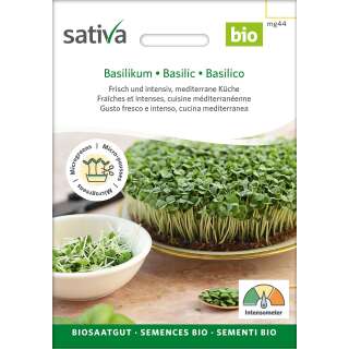 Bio Microgreens Basilikum - Ocimum basilicum - BIOSAMEN