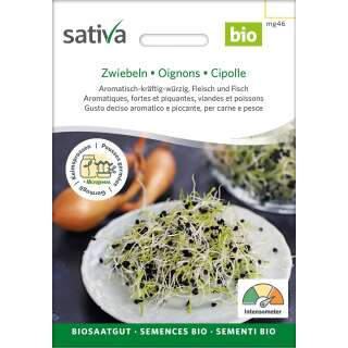 Bio Keimsprossen Zwiebeln - Allium cepa - BIOSAMEN