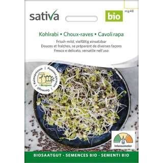 Bio Keimsprossen Kohlrabi - Brassica ol. aceph. gongylodes - BIOSAMEN