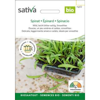 Bio Microgreens Spinat - Spinacia oleracea - BIOSAMEN