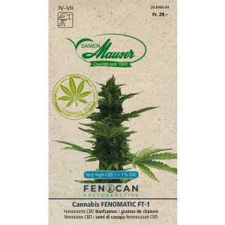 CBD Hanf, Fenomatic - Cannabis - Hanfsamen
