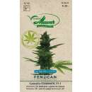 CBD Hanf, Fenomatic - Cannabis - Hanfsamen