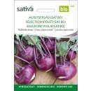 Kohlrabi, blau Auslese (SAT 80) - Brassica ol. aceph....