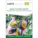 Tomate Brads Atomic Grape - Solanum lycopersicum - BIOSAMEN