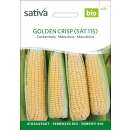 Zuckermais Golden Crisp (SAT 115) - Zea mays  - BIOSAMEN