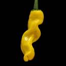 Chili Peter Pepper Yellow - Capsicum annuum - Samen