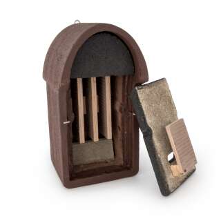 Gîte pour chauve-souris, brun