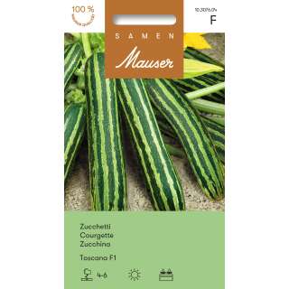 Courgette Toscana F1 - Cucurbita pepo - graines